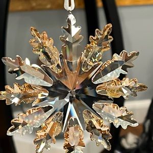 Swarovski Winter Star Ornament